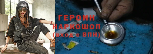индика Осинники
