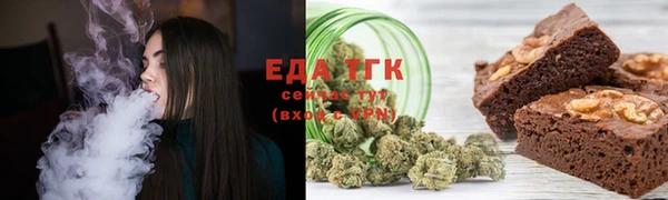 индика Осинники