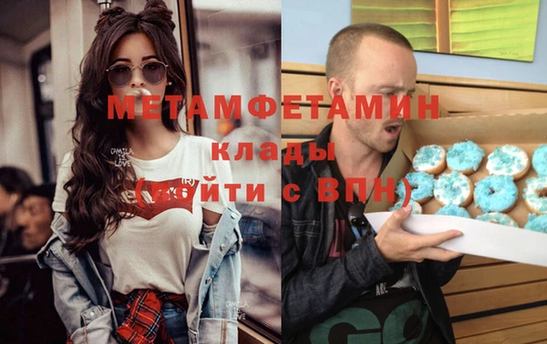 индика Осинники