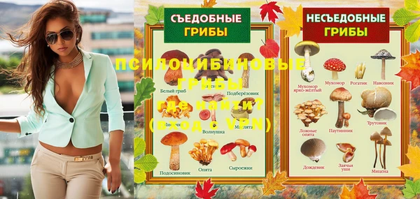 шишки Осташков