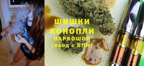 шишки Осташков