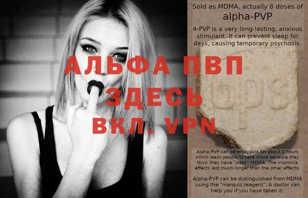 шишки Осташков