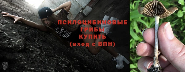 индика Осинники